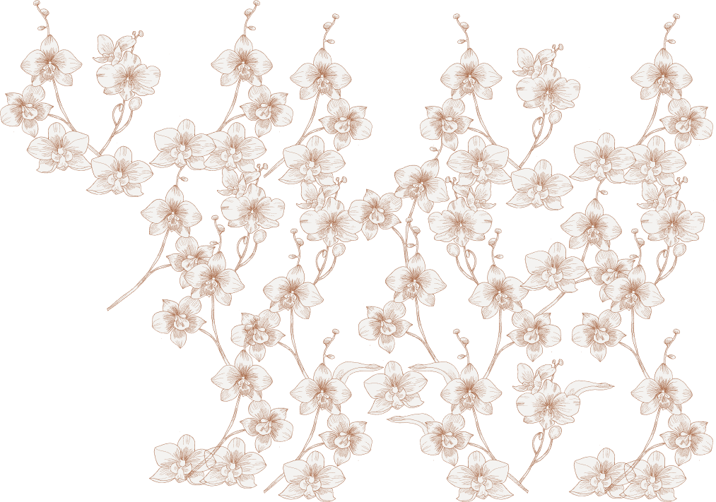 Padrâo de flores